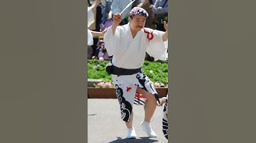 Thumbnail of Japanese traditional dance Awa odori. #shorts