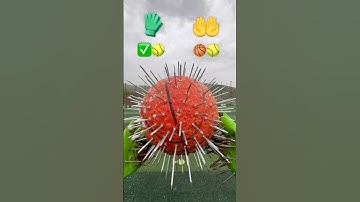 Gloves & Hands Catching The Nails Ball 🤲🏀🥎#shorts #ball #challenge