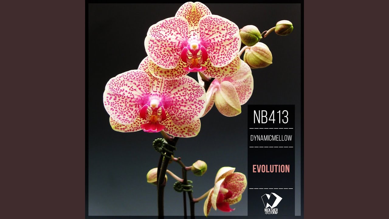 Watch Evolution (Original Mix) on YouTube Watch Evolution (Original Mix) on YouTube