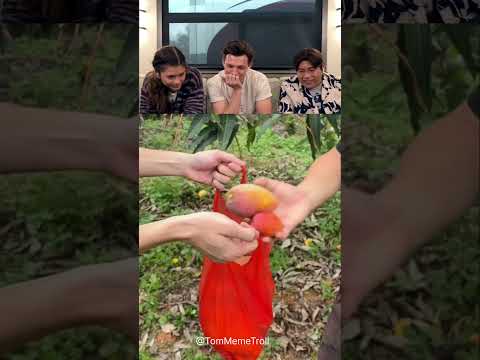 Funny Viral video reaction from Tom Holland and friends part 187 #funny #trolledit #tomholland #meme