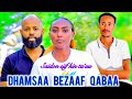 Dhamsii Anii Bezaaf Qabuu Maalidha Saidon Sii Marachaa Lakki Dhiissi 