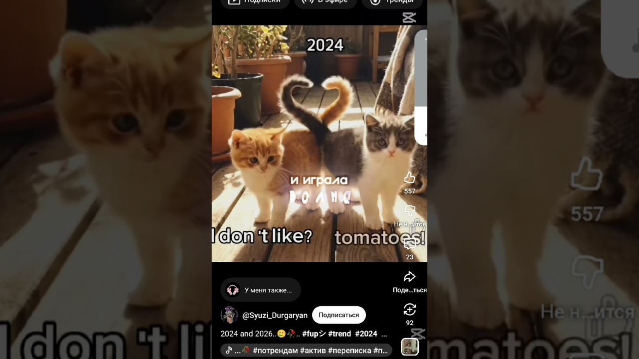 #рекомендации