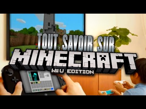 Vidéo: On Dirait Que Minecraft Arrive Enfin Sur Wii U