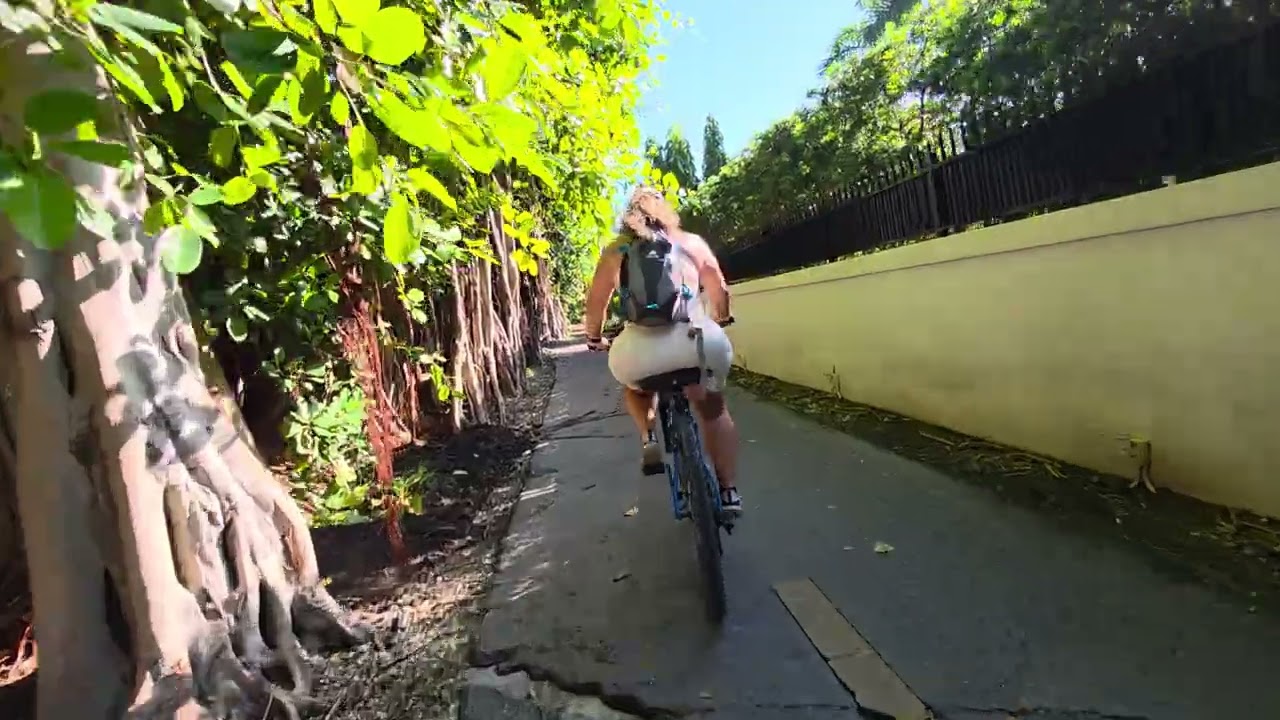 Old Cutler Bike Trail. 