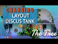 Changing the layout on the discus tank  the tree  tutorial