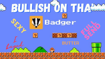 Badger DAO - Bitcoin On DeFi - Unique, MUST OWN Crypto!