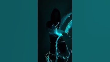 Thumbnail of Fiber optic whip dance