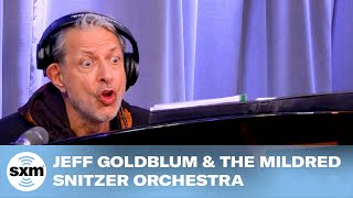 Jeff Goldblum \& The Mildred Snitzer Orchestra — Don’t Fence Me In \/ Strollin' [Live @ SiriusXM]