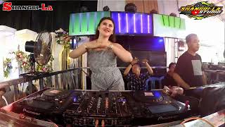 SHANGRILA TERBARU-# Jangan Tanggung-tanggung# FDJ DEVI GEMOY FEAT DJ ARI FEBRIANO