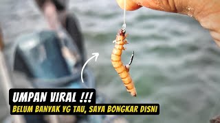 Umpan Terbaik Mancing di Laut yg Belum Banyak Orang Tahu | Auto STRIKE !! screenshot 4