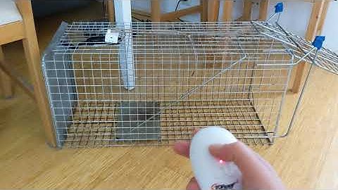 Remote controlled cat trap