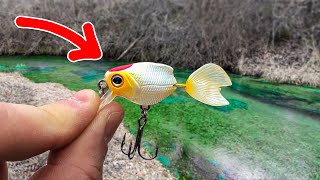 A GIANT New PB was in This TINY CREEK!!! (Surprise Catch!)