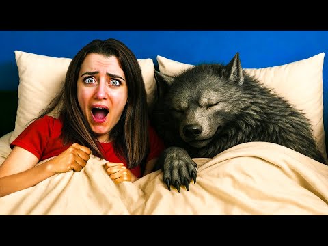 Video C'È UN LUPO MANNARO CHE DORME NEL MIO LETTO!!!