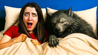 C'È UN LUPO MANNARO CHE DORME NEL MIO LETTO!!!