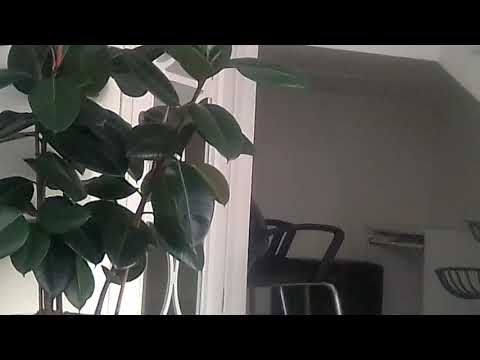 ყველაზე დახვეწილი ინტერიერი სტომატოლოგიურ კლინიკა ახალ ღიმილში