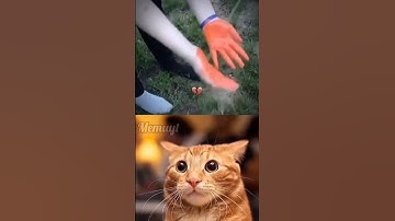 GIVE THIS VIDEO A TITLE ONLY WRONG ANSWER IN THE COMMENTS ❌ #memuyt #shorts