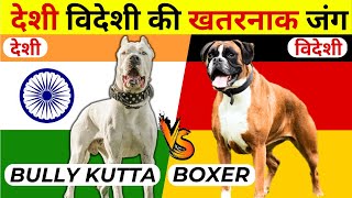 5 Indian Dog Breeds Vs Foreign Dog Breeds | Bully Kutta Vs Boxer Real Fight Comparison 2023 by Wildlife Claws 811 views 1 year ago 5 minutes, 24 seconds