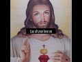 in my opinion Jesus is the lamb!❤️