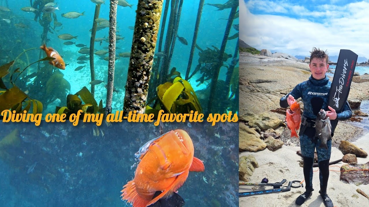 Epic Spearfishing for Galjoen and Red Roman at One of My Favorite Spots