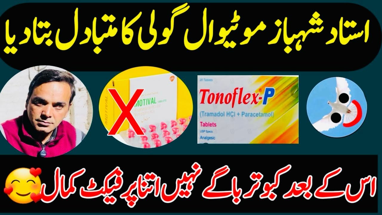 USTAD SHAHBAZ NE MOTIVAL GOLI KA MUTBADIL BTA DEA IS K BAD KABOOTAR BAGY GA NAHI ETNA PARFECT KAMAL 