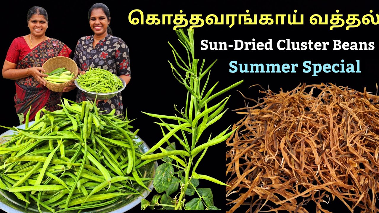 How to make Sun-Dried Cluster Beans | Homemade Kothavarangai Vathal from Garden Harvest #recipe #diy