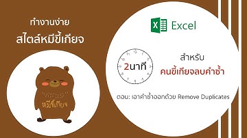 เทคนิคการลบข้อมูลซ้ำด้วย Remove Duplicate Value