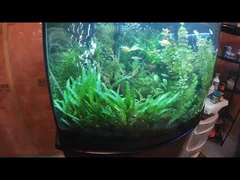 camera iphone 8 plus apk Fishroom Transformation