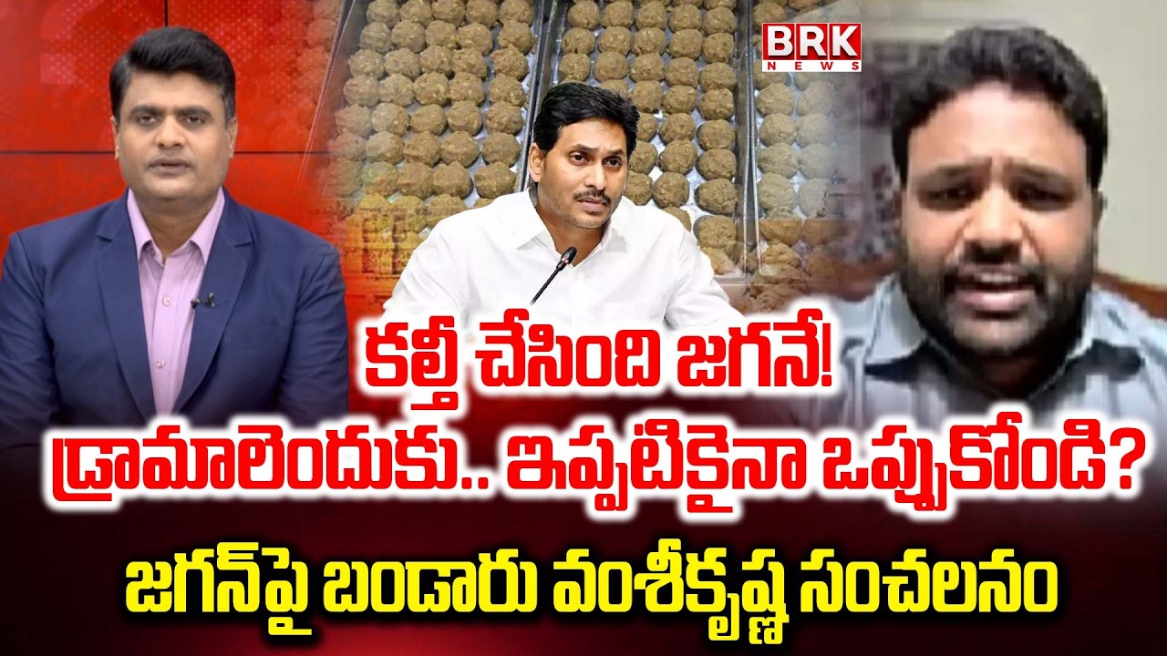 TDP Bandaru Vamshi Krishna On Laddu Adulteration Case | CM Chandrababu | YS Jagan | BRK News