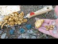Gold Nuggets; Rubies, Diamonds, Everything is nearby, taking as much as you can