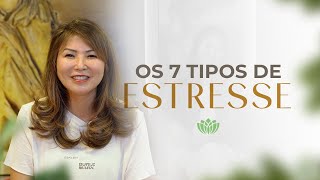 OS 7 TIPOS DE ESTRESSE