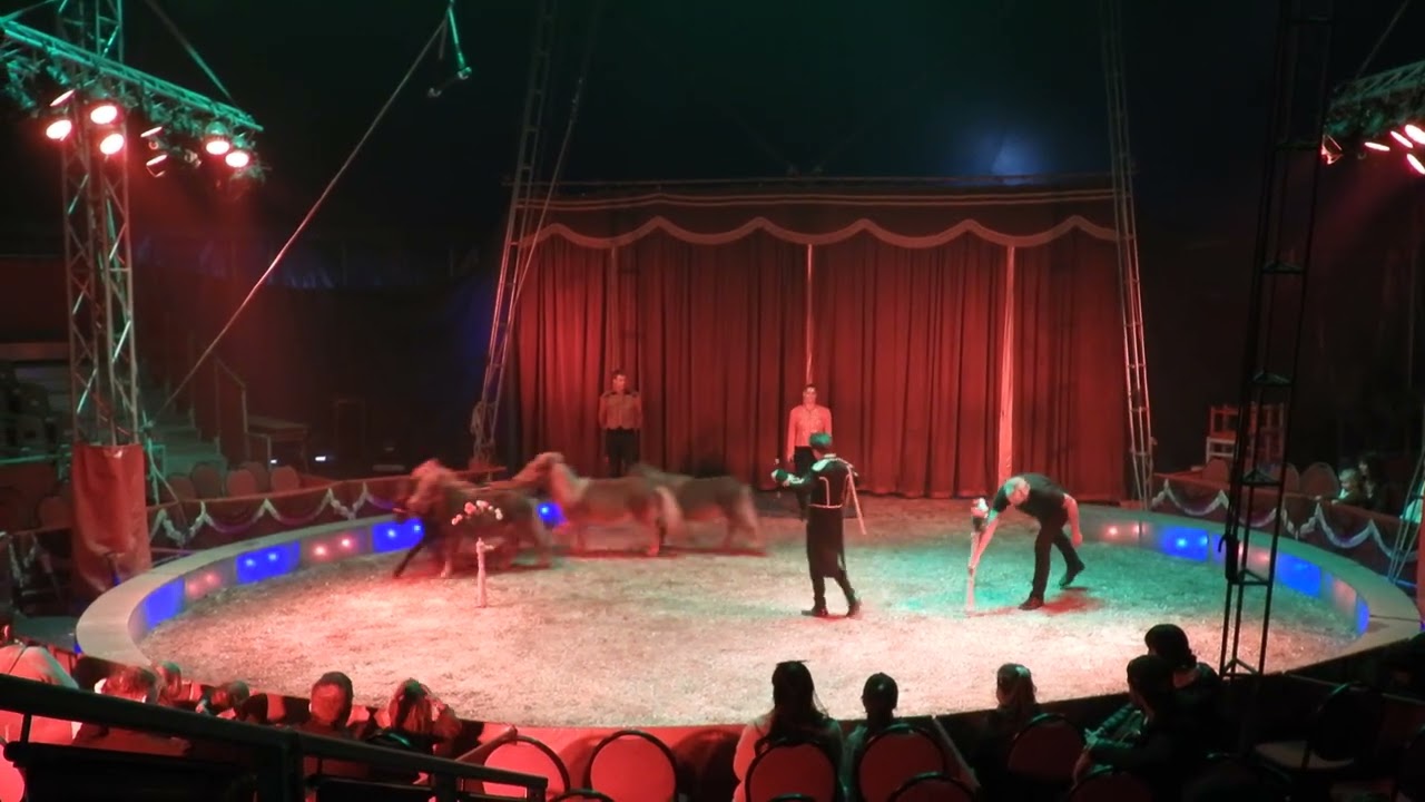 A circus special - rascals / Ein Zirkus Spezial - Rasselbande