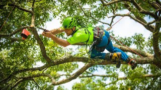 Beast Mode Tree Swing - Mike Curwen ITCC 2019