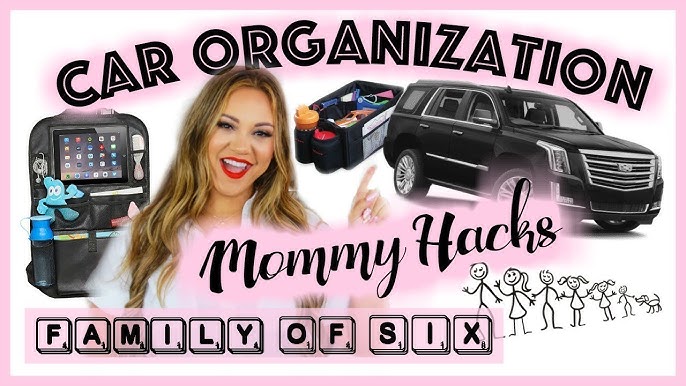 12 Things You Need in a Car Cleaning Kit - The Organized Mom