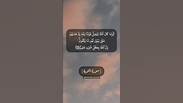 سورة التوبة الآية ١١٤ و ١١٥ بصوت الشيخ محمد صديق المنشاوي
