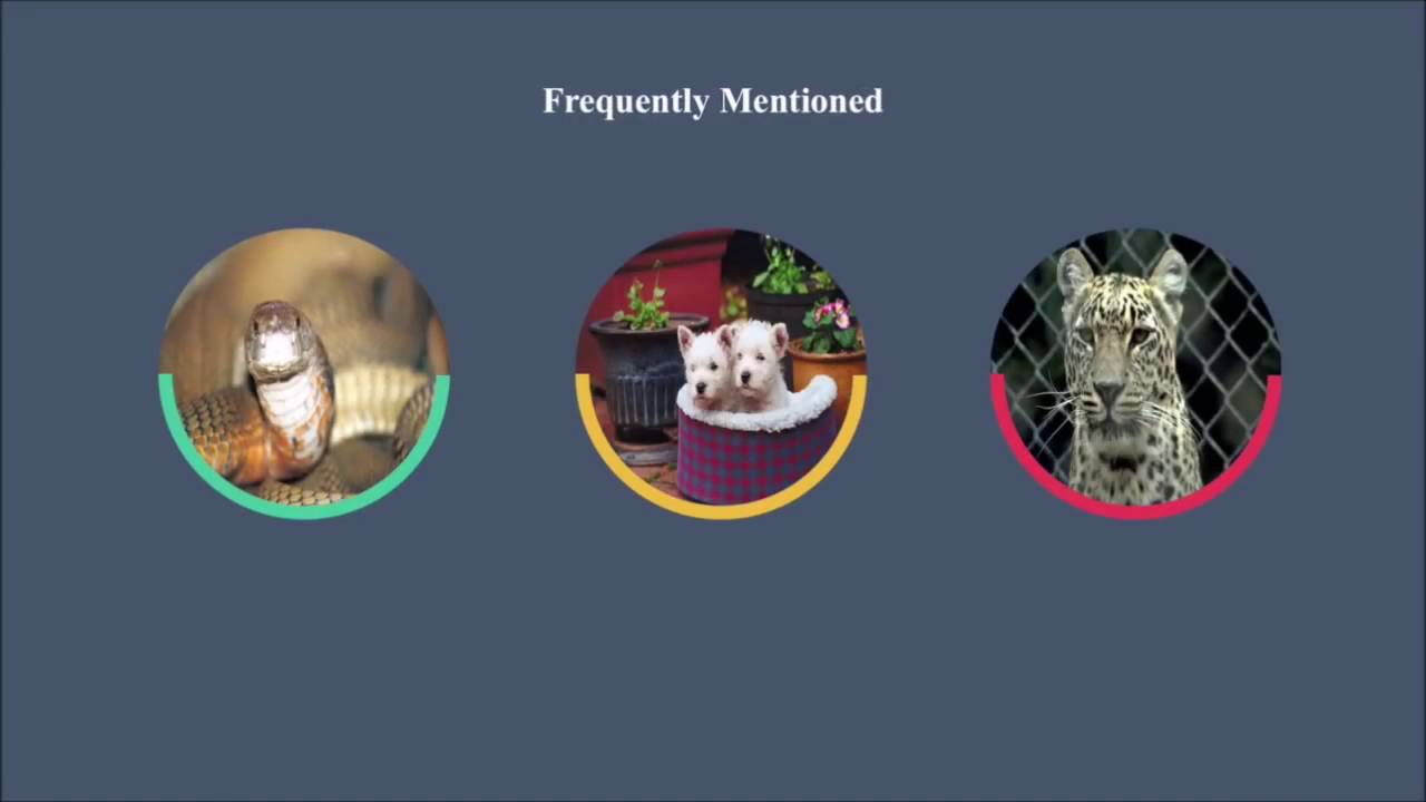 Cleanest Pets Ruidoso New Mexico YouTube