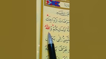 سورة التحريم الأية 1 إلى 3 بصوت سعد الغامدي