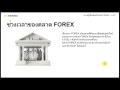 Forex Trading Psychology The Secret of Getting a Winning ...