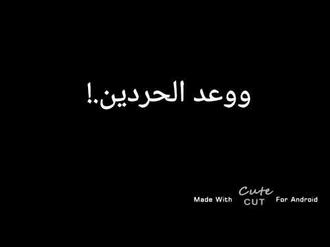 بلقيس بألف روح