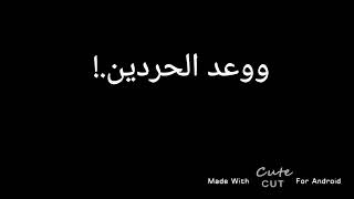 بلقيس  ..بألف روح🖤🦋