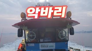 봄 왕갑이 실시간 라이브 구매항 악바리호