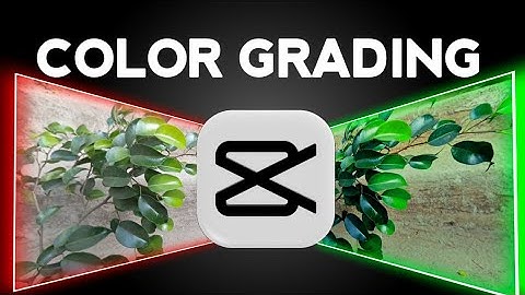 Before & After Color Grading Transformation