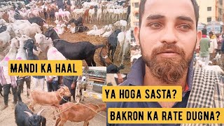 Kya hoga is saal qurbaani mein?  mandi rahegi sasti ya mahngi? dugna rate? bakra mandi Tuesday vlog