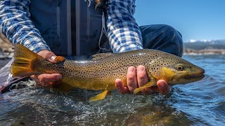 ANYFIN GOES! - Montana Trout Fishing (EP. 2)