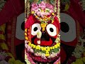 Mo Nilachalia Trendingreels Jayjagannathswami Purijagannath Mahaprabhu Viralvideos Ytshorts Mo Nilachalia Trendingreels Jayjagannathswami Purijagannath Mahaprabhu Viralvideos Ytshorts