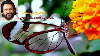 Onam Song: Poove Poli Poove Video Song (Yesudas, Sujatha) ft Onam Arts & Flowers പറനിറയെ പൊന്നളക്കും