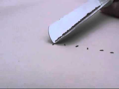 gromor vibro hand seeder