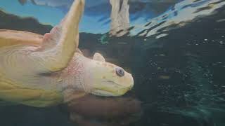 A trip to Bournemouth Oceanarium. 
