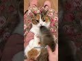 Baby's Coquettish Charm: Adorable Pet Show