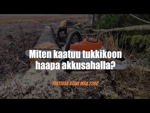 Video: Haavan Kuoren Hyödylliset Ominaisuudet