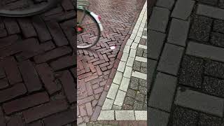 IMG 7514